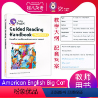 American English Big Cat 3级别教案 [正版]英文进口原版大猫英语分级阅读绘本1234567级小