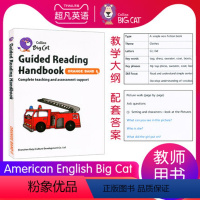 American English Big Cat 6级别教案 [正版]英文进口原版大猫英语分级阅读绘本1234567级小