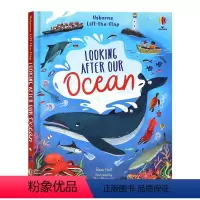 善待我们的海洋 [正版]200元4件Usborne翻翻书Lift the Flap字母单词数字天气英文原版绘本英语启蒙纸