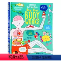 人体器官 [正版]200元4件Usborne翻翻书Lift the Flap字母单词数字天气英文原版绘本英语启蒙纸板书立