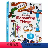 测量概念 [正版]200元4件Usborne翻翻书Lift the Flap字母单词数字天气英文原版绘本英语启蒙纸板书立