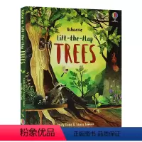 树木 [正版]200元4件Usborne翻翻书Lift the Flap字母单词数字天气英文原版绘本英语启蒙纸板书立体书