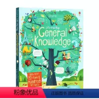 揭秘知识 [正版]200元4件Usborne翻翻书Lift the Flap字母单词数字天气英文原版绘本英语启蒙纸板书立