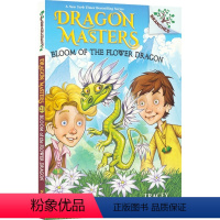 驯龙士21 [正版]Dragon Masters 学乐大树系列 Branches 驯龙士1-21 儿童初级英语章节书 课