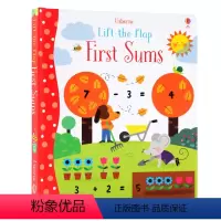 学习加数 [正版]200元4件Usborne翻翻书Lift the Flap字母单词数字天气英文原版绘本英语启蒙纸板书立