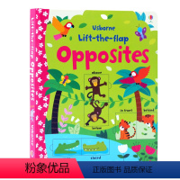 学反义词 [正版]200元4件Usborne翻翻书Lift the Flap字母单词数字天气英文原版绘本英语启蒙纸板书立