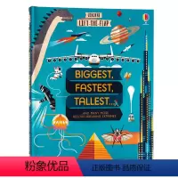 大快高壮 [正版]200元4件Usborne翻翻书Lift the Flap字母单词数字天气英文原版绘本英语启蒙纸板书立