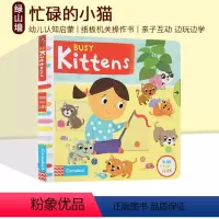 Busy Kitten 小猫 [正版]59选3 英文原版 Busy系列 纸板活动机关操作书 纸板机关操作活动书 边玩边学