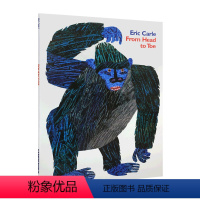 From Head to Toe 从头到脚 [正版]英文原版绘本brown bear棕色的熊i am a bunny我是