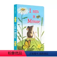 I am a Mouse 我是一只老鼠 [正版]英文原版绘本brown bear棕色的熊i am a bunny我是一只