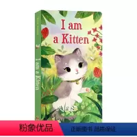 I am a Kitten 我是一只小猫 [正版]英文原版绘本brown bear棕色的熊i am a bunny我是一