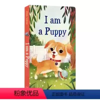 I am a Puppy 我是一只小狗 [正版]英文原版绘本brown bear棕色的熊i am a bunny我是一只