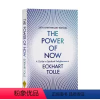 当下的力量 [正版]武志红 身心合一的奇迹力量 英文原版 The Inner Game of Tennis 运动心理学