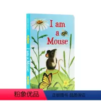 我是一只老鼠 I am a Mouse [正版]我是一只兔子I am a bunny英文原版绘本 5册纸板书合售 Ric
