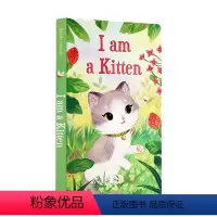 我是一只小猫 I am a Kitten [正版]我是一只兔子I am a bunny英文原版绘本 5册纸板书合售 Ri