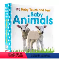 宝宝触摸书 动物宝宝 [正版]100元任选5 Baby Touch and Feel Animals 宝宝触摸书动物 婴