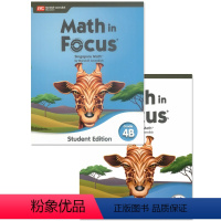 4B(学生书+练习册) [正版]新加坡数学math in focus2020新版 ka/kb/1a/1b/2a/2b/3