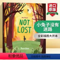 小兔子没有迷路 [正版]老虎来喝下午茶 英文原版 The Tiger Who Came to Tea 大开绘本 儿童启蒙