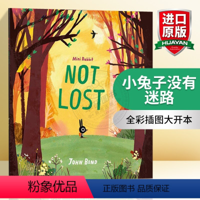 小兔子没有迷路 [正版]老虎来喝下午茶 英文原版 The Tiger Who Came to Tea 大开绘本 儿童启蒙
