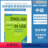 剑桥短语动词中级(附答案) [正版]剑桥商务英语 Business Vocabulary in Use 商务英语 剑桥英