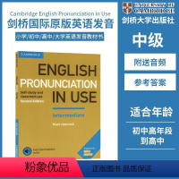 剑桥英语发音中级(附音频答案) [正版]剑桥商务英语 Business Vocabulary in Use 商务英语 剑