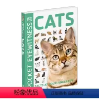 目击者系列 猫 [正版]华研原版 目击者系列 古希腊 英文原版 Eyewitness Ancient Greece DK