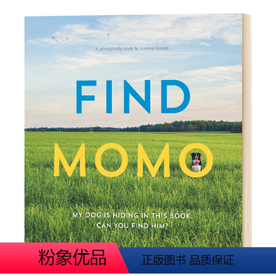 让我们找到莫莫1 [正版]华研原版 让我们找到莫莫 英文原版 Let'S Find Momo! 狗狗摄影书 寻找莫莫