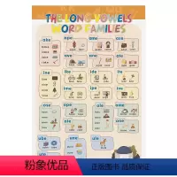 自然拼读挂图 3级别 [正版]麦凯思图书原版进口88元选两件培生3000词Picture Dictionary幼儿Pla