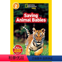 Saving Animal Babies [正版]100元10本 英文原版进口 国家地理分级阅读读物L2阶段 Natio