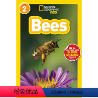 Bees [正版]100元10本 英文原版进口 国家地理分级阅读读物L2阶段 National Geographic K