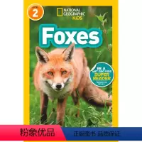 Foxes [正版]100元10本 英文原版进口 国家地理分级阅读读物L2阶段 National Geographic