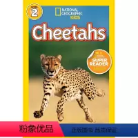 Cheetahs [正版]100元10本 英文原版进口 国家地理分级阅读读物L2阶段 National Geograph