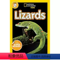 Lizards [正版]100元10本 英文原版进口 国家地理分级阅读读物L2阶段 National Geographi