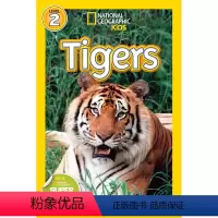 Tigers [正版]100元10本 英文原版进口 国家地理分级阅读读物L2阶段 National Geographic
