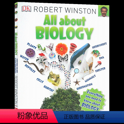 大课题百科书 [正版]DK 5种语言图解词典 英文原版 5 Language Visual Dictionary 英文版