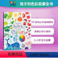 [正版]孩子的色彩启蒙全书 英文原版Usborne Big Book of Colours 颜色识别 11大色系130