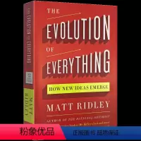 自下而上 万物进化简史 [正版]英文原版 A Brief History of Time 时间简史 史蒂芬霍金 从大爆炸