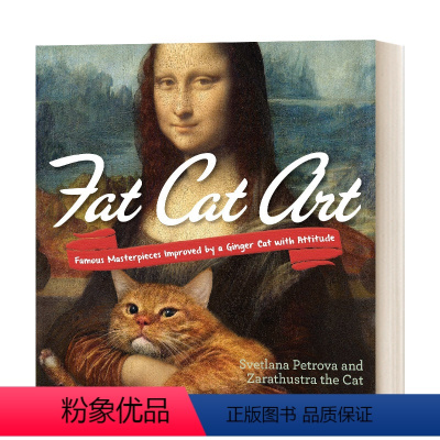 肥猫艺术课 艺术发展简史 [正版]英文原版 A Brief History of Time 时间简史 史蒂芬霍金 从大爆
