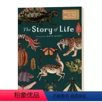 生命的故事 进化 [正版]生命的故事 进化 英文原版 The Story of Life Evolution 欢迎来到博