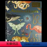 动物博物馆 [正版]生命的故事 进化 英文原版 The Story of Life Evolution 欢迎来到博物馆系