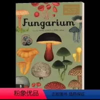 真菌博物馆 [正版]生命的故事 进化 英文原版 The Story of Life Evolution 欢迎来到博物馆系