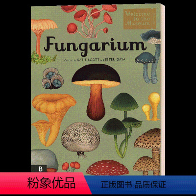 真菌博物馆 [正版]生命的故事 进化 英文原版 The Story of Life Evolution 欢迎来到博物馆系