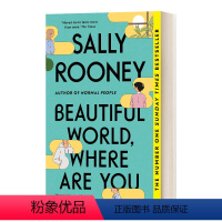 美丽的世界,你在哪里 [正版]普通人 英文原版 Normal People 聊天记录作者萨莉鲁尼 正常人 Sally R