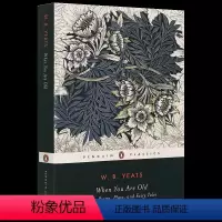 当你老了 [正版]英文原版 Giovanni's Room 乔凡尼的房间 James Baldwin詹姆斯·鲍德温 英文