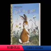 兔子的家 小金书 [正版]英文原版绘本 I'm a Ballerina! 我是芭蕾舞者 兰登书屋精装小金书绘本 英文版