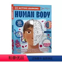 [正版]DK百科全书 Active Learning系列 人体 英文原版 Human Body Over 100 Bra