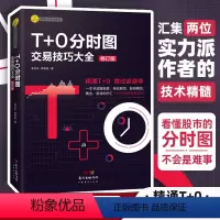[正版]T+0分时图交易技巧大全(修订版)彩图版 李志尚著 波段交易 战法 股市 通达信 中国股市操练大全 期货交易 理