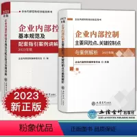 [正版]套装2册2023年版 企业内部控制基本规范及配套指引案例讲解+主要风险点关键控制点与案例解析 立信会计出版社企业