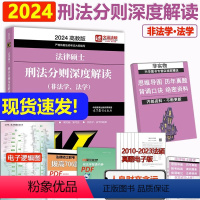 []2024法硕刑法分则 [正版] 2024考研法硕基础配套练习+历年真题章节分类详解+刑法分则深度解读+24非