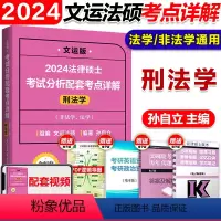 2024孙自立刑法学·考点详解 [正版]文运2024考研法律硕士考试分析配套考点详解 戴寰宇民法孙自立刑法王振霞法制